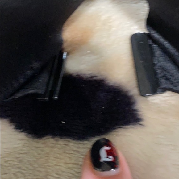 VSC Bra - Picture 4 of 4